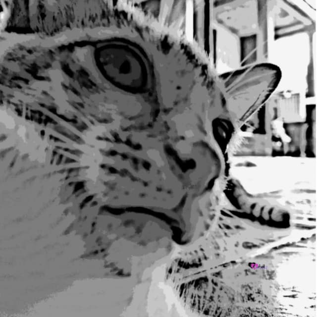 Effect Sketch